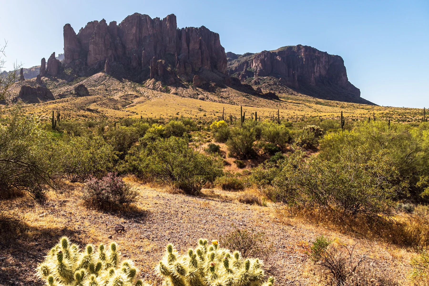 Superstition Mountain cliffs and saguaros at Lost Dutchman State Park
